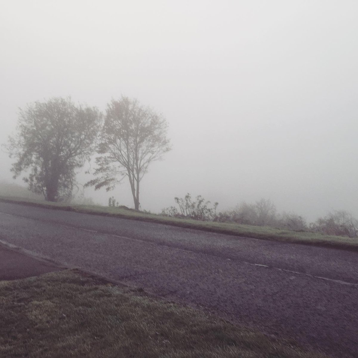 AVenning's tweet photo. Cold and foggy morning run. Actually froze on my hair! Bring on the #mkwinterhalf #running #triathlon #tritraining https://t.co/NBdRuyRUY5