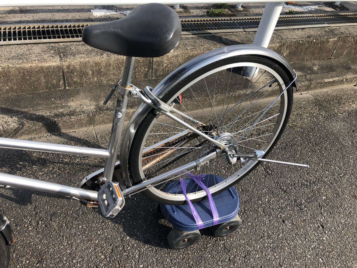 精神医学 子豚 孤児 自転車 の 鍵 を なく した 時 Arttocamera Jp