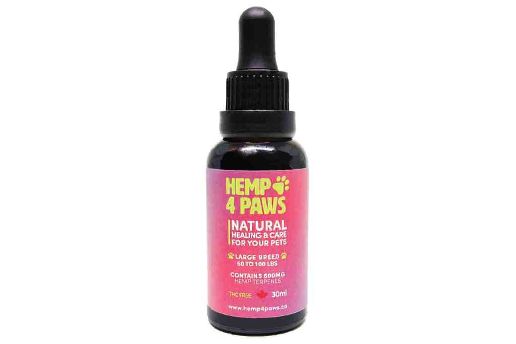 PAWSitively Natural tweet media