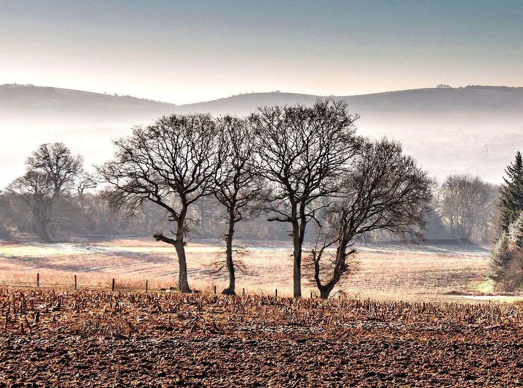 "What good is the warmth of summer, without the cold of winter to give it sweetness." - John Steinbeck

📷 John Richardson 

#SouthDowns