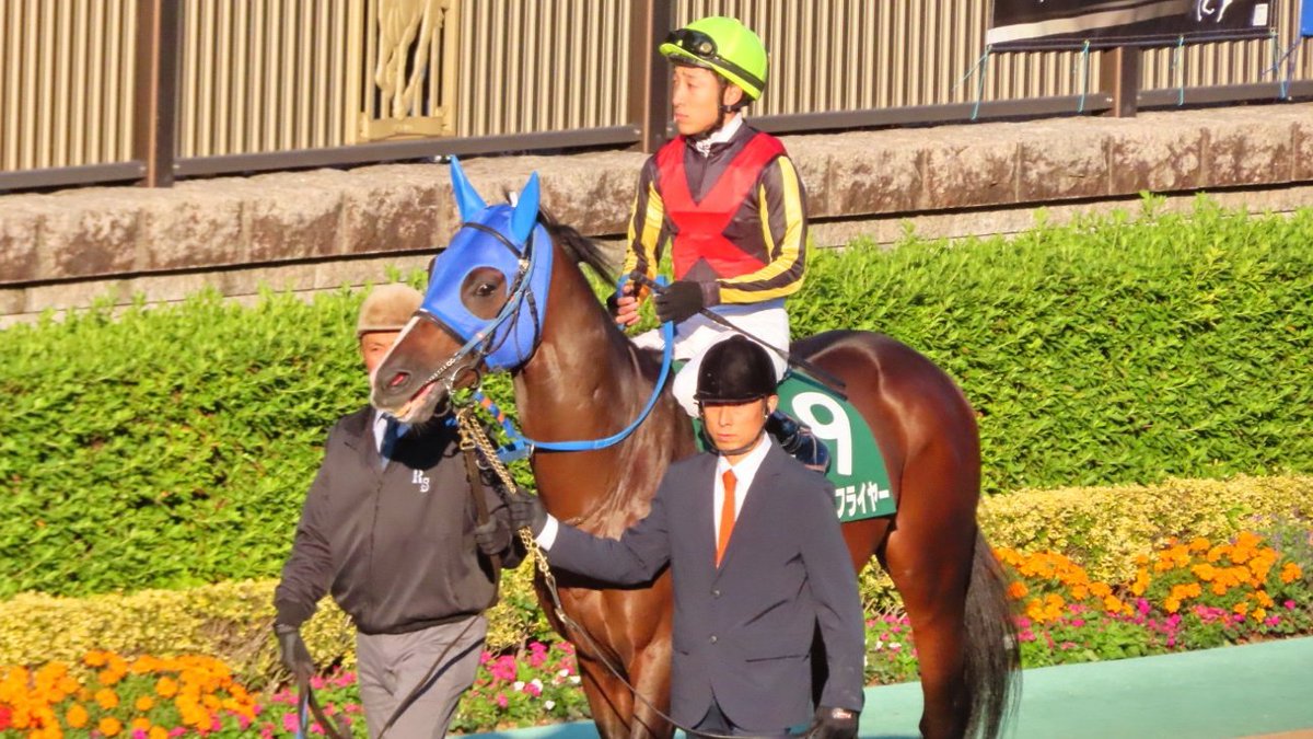 トサミドリ على تويتر 僕ら タイムフライヤー 時を駆け上がるクライマー 時のかくれんぼ はぐれっこはもういやなんだ シネマホース 君 の名は なんでもないや トサミドリ على تويتر 僕ら タイムフライヤー 時を駆け上がるクライマー 時のかくれんぼ はぐれっこはもういやなんだ シネマホース 君 の名は なんでもないや
