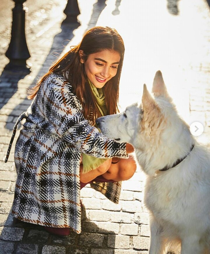 Latest click #Poojahegde