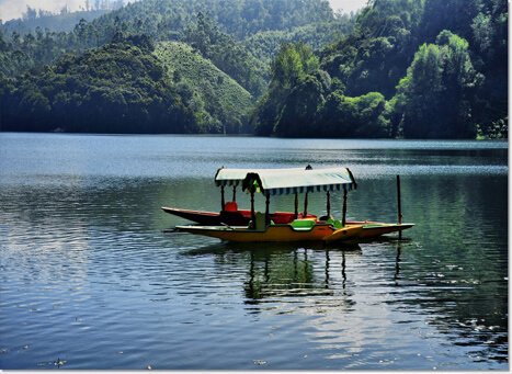 silvertipsmnr's tweet photo. #Munnar
#KeralaTourism
#ShowcaseMunnar
#ActivitiesinMunnar
#VisitMunnar
#RealMunnar
#SMARTMunnarhotels
#honeymoondestination
#Hillstationholiday
#silvertipsmunnar
#silvertipsklm https://t.co/SXCZGRkEcv