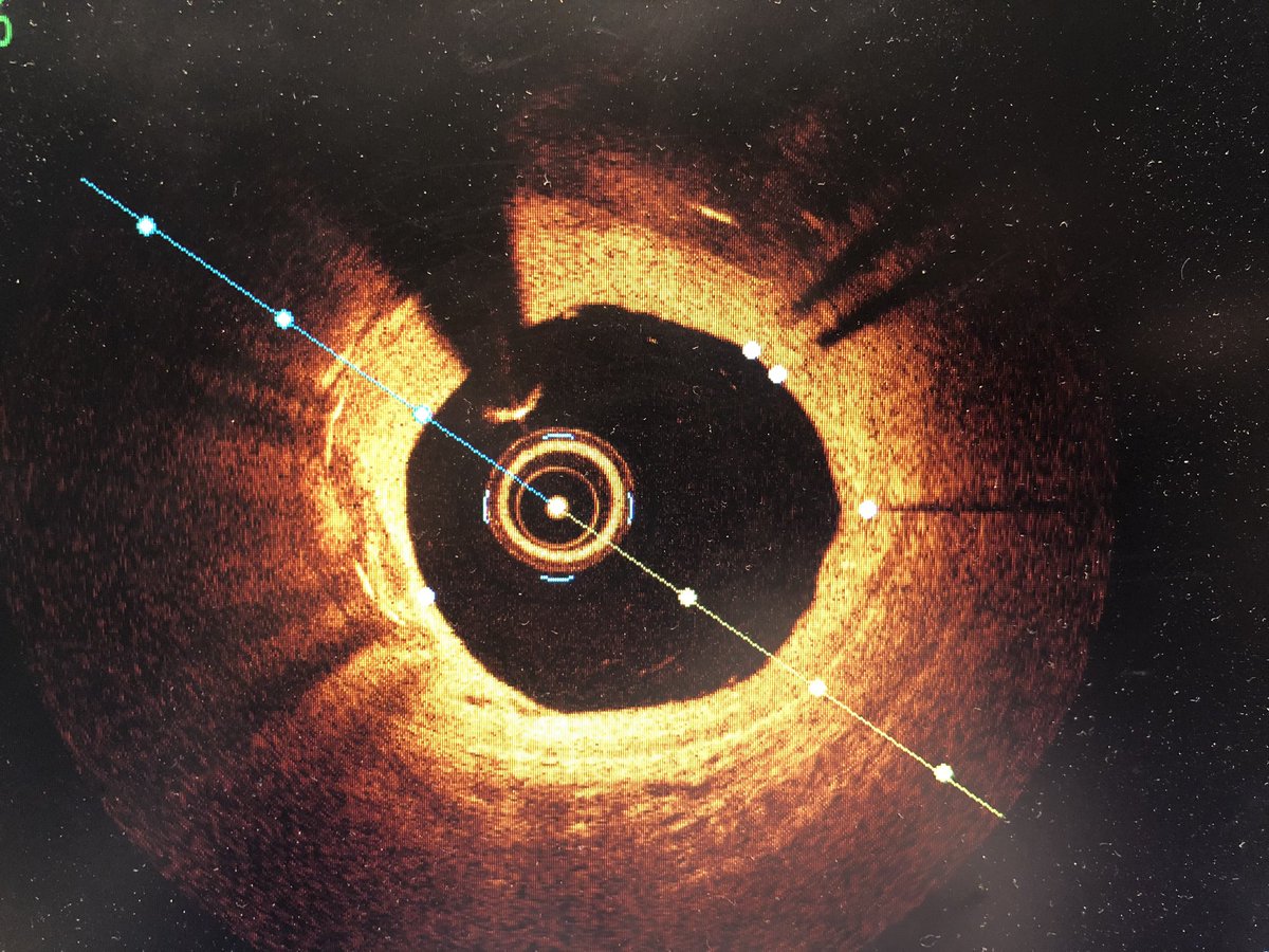 Doscondos tweet media