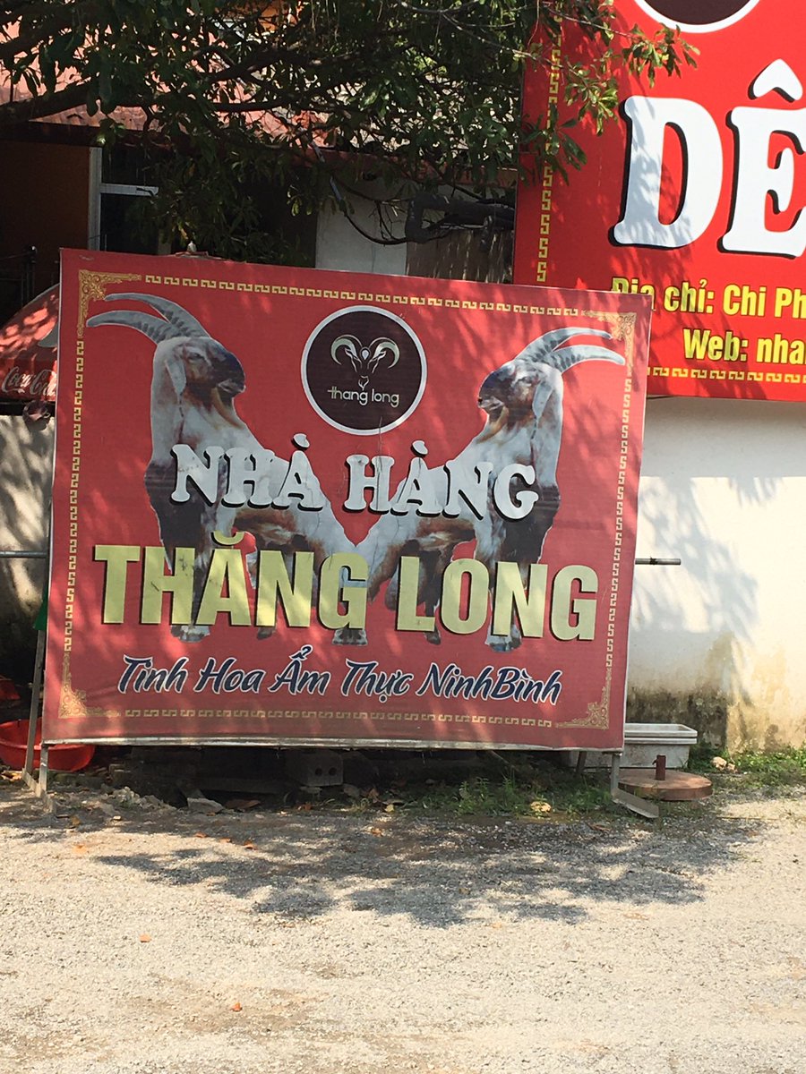 EganLab's tweet image. Regional specialty of goat for lunch, steamed, grilled and goat salad. Delicious! @Innovet_UK_NIVR