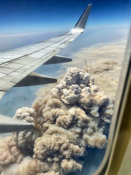 Посмотреть изображение в Твиттере