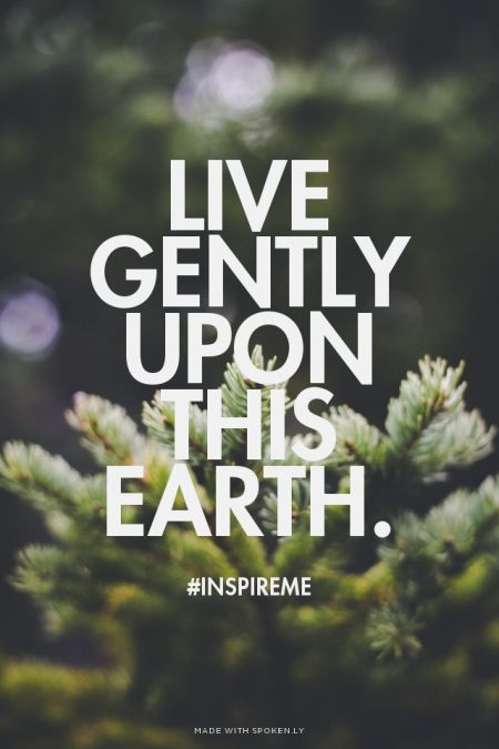 Weldon (@weldon_73) on Twitter photo 