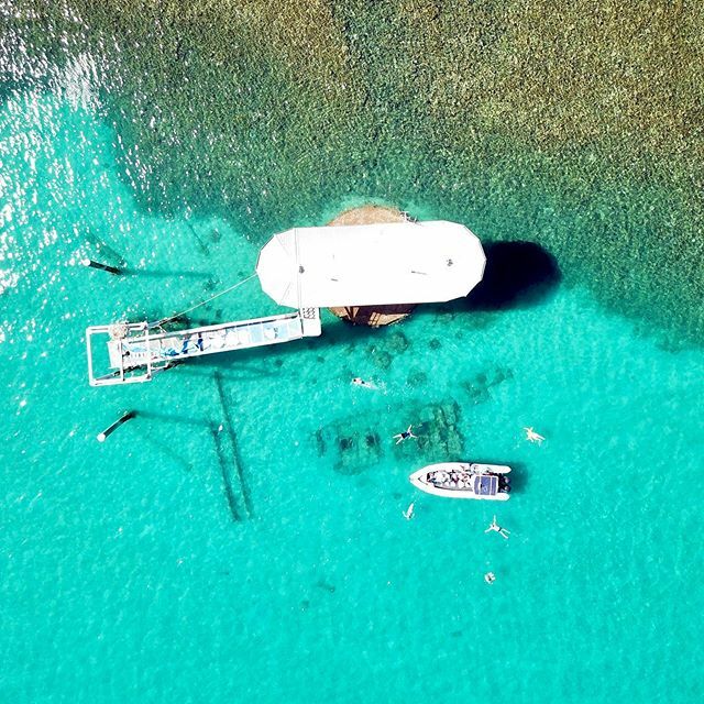 Conditions were epic today - 3 snorkels, this last one at the wreck and ex-underwater observatory 🤩👌🏝💦☀️
.
.
.
.
.
.
.
.
.
.

#keppelexplorer #visitcapricorn #seeaustralia #thisisqueensland #queensland #southerngreatbarrierreef #greatbarrierreef #greatkeppelisland #keppe…