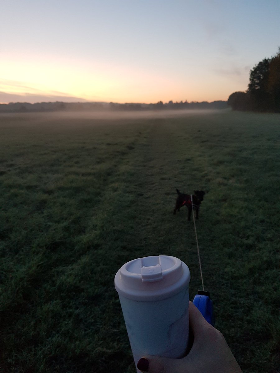 #Nofilter #DaisyDog #EarlyMorningWalks #cold #Stunning