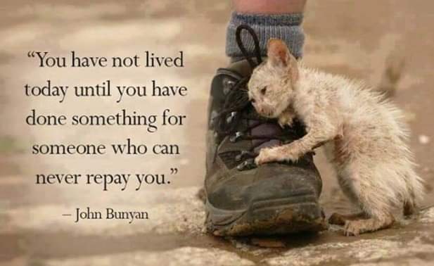 Adam Rogers ๐๐ (@AdamRogers2030) on Twitter photo 2019-11-09 08:04:22 My quote of the day from John Bunyan: You have not lived today until you have done something for someone who can never repay you. My quote of the day from John Bunyan: You have not lived today until you have done something for someone who can never repay you.