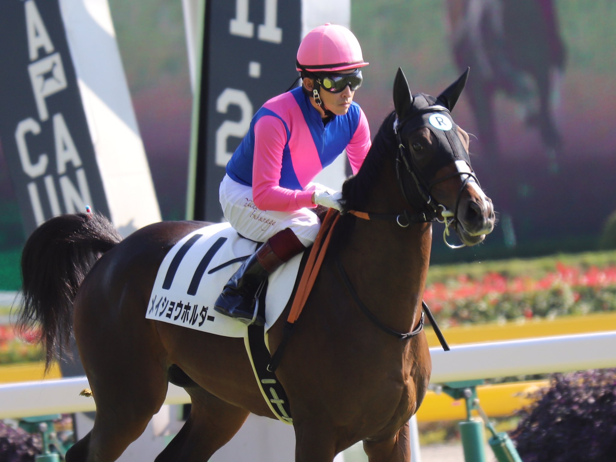 ゆう 走りながら元気いっぱいうんこしてたぞ メイショウホルダー 福永祐一騎手