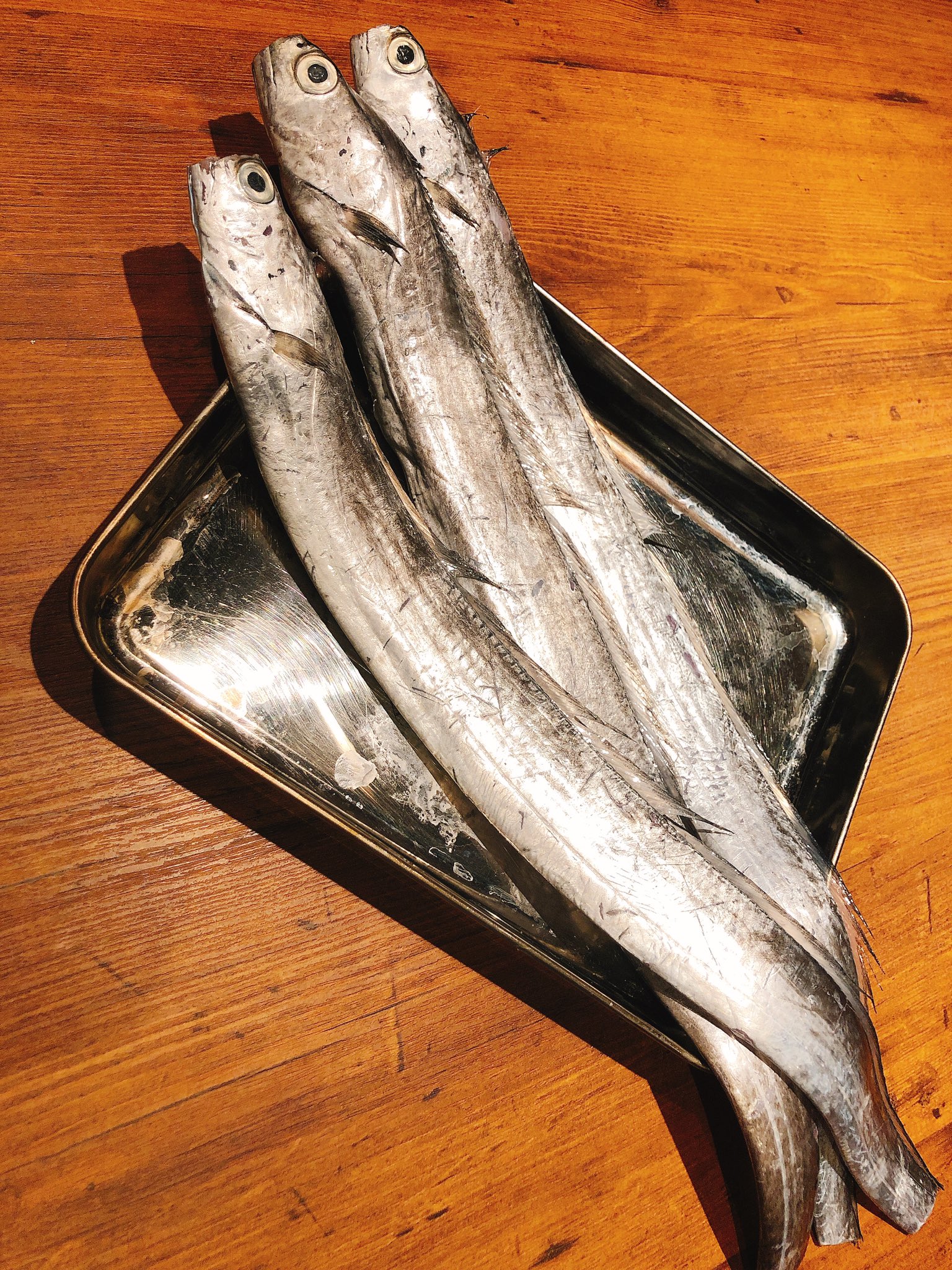 石窯料理秀らん しゅうらん 本日入荷の太刀魚 この長 いお魚を1本丸々石窯で焼いちゃいます お値段何と980円 数量限定です お早目に 錦糸町北口 錦糸町グルメ 石窯焼き 石窯料理 自然派ワイン オーガニックワイン 錦糸町駅 ワイン 錦糸町