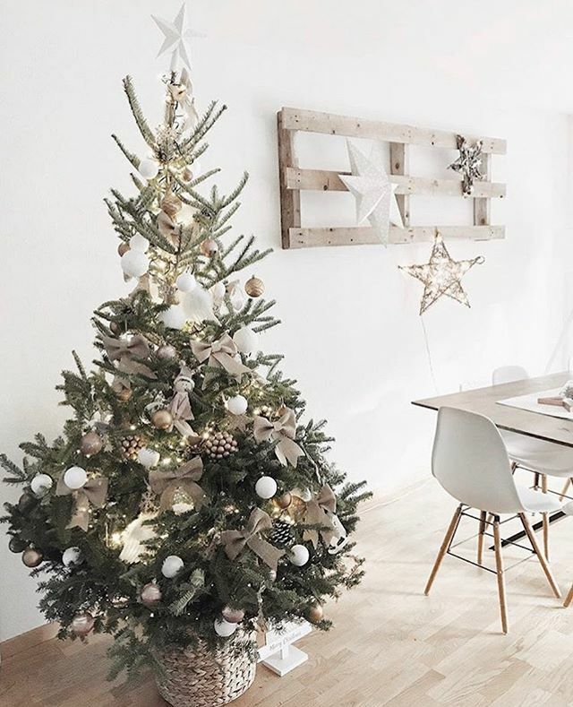 Ecosapin's tweet photo. [CONCOURS - GIVE AWAY - WETTBEWERB]
🇫🇷 Noël approche à grands pas ! Afin de célébrer comme il se doit cette année, nous avons décidé d’offrir à un(e) petit(e) chanceux(se) un Ecosapin pour les fêtes ! Le concours se termine le 13 novembre 2019, et l’heureux gagnant sera cont… https://t.co/s8NuVi4jxE
