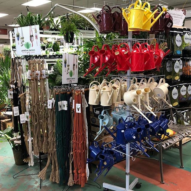 NoiseNb's tweet photo. From @halifaxseed — From cool macrame plant hangers to brightly coloured Haws watering cans, we have plenty of gift ideas for the houseplant lover on your holiday shopping list. 🌿
.
.
.
.
.
.
#halifaxseed #halifax #halifaxns #dartmouth #bedford #nova… https://t.co/dOCbIeSqot https://t.co/yICYafh2KB