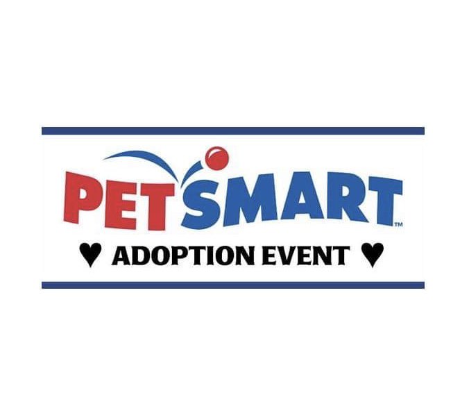 PAWS Ohio tweet media