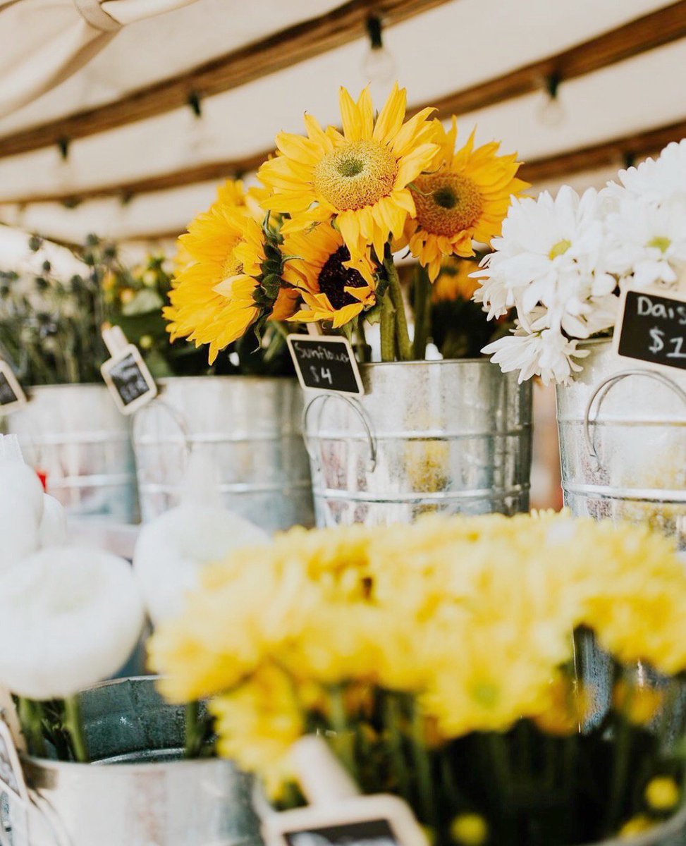 Come out and see us in The Gulch from 10-2 across from biscuit love and @whitesmercantile in 12 South from 11-5! You can also find us popped up @vicidolls today from 10-2!! 📸| @lindseywilsonphotos
