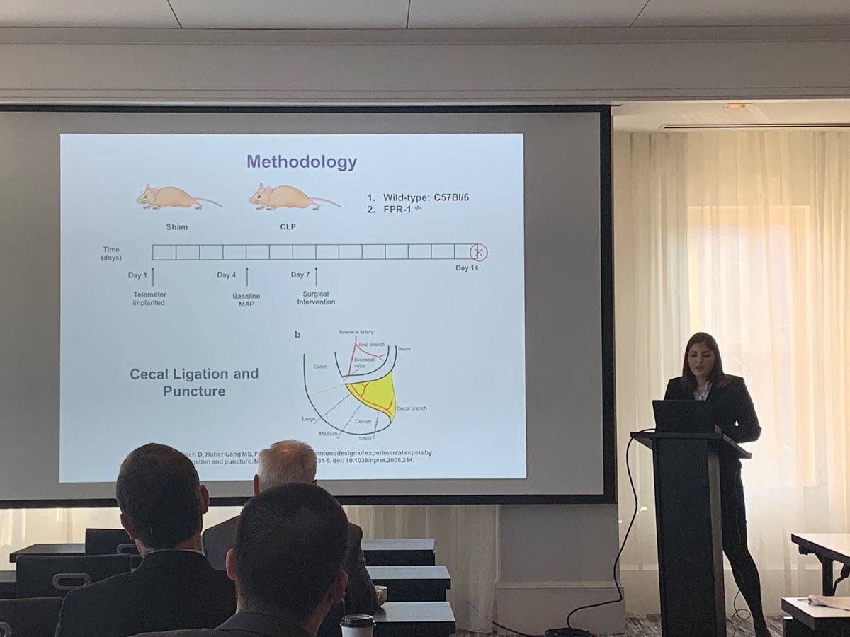 Terence O'Keeffe (@terenceokeeffe) on Twitter photo <a href="/PMartinezMD/">Patricia Martinez Quiñones, MD PhD</a> schooling the regional Committtee on Trauma resident paper competition on formyl peptide receptor 1 <a href="/MCG_Surgery/">MCG Surgery</a> <a href="/PMartinezMD/">Patricia Martinez Quiñones, MD PhD</a> schooling the regional Committtee on Trauma resident paper competition on formyl peptide receptor 1 <a href="/MCG_Surgery/">MCG Surgery</a>