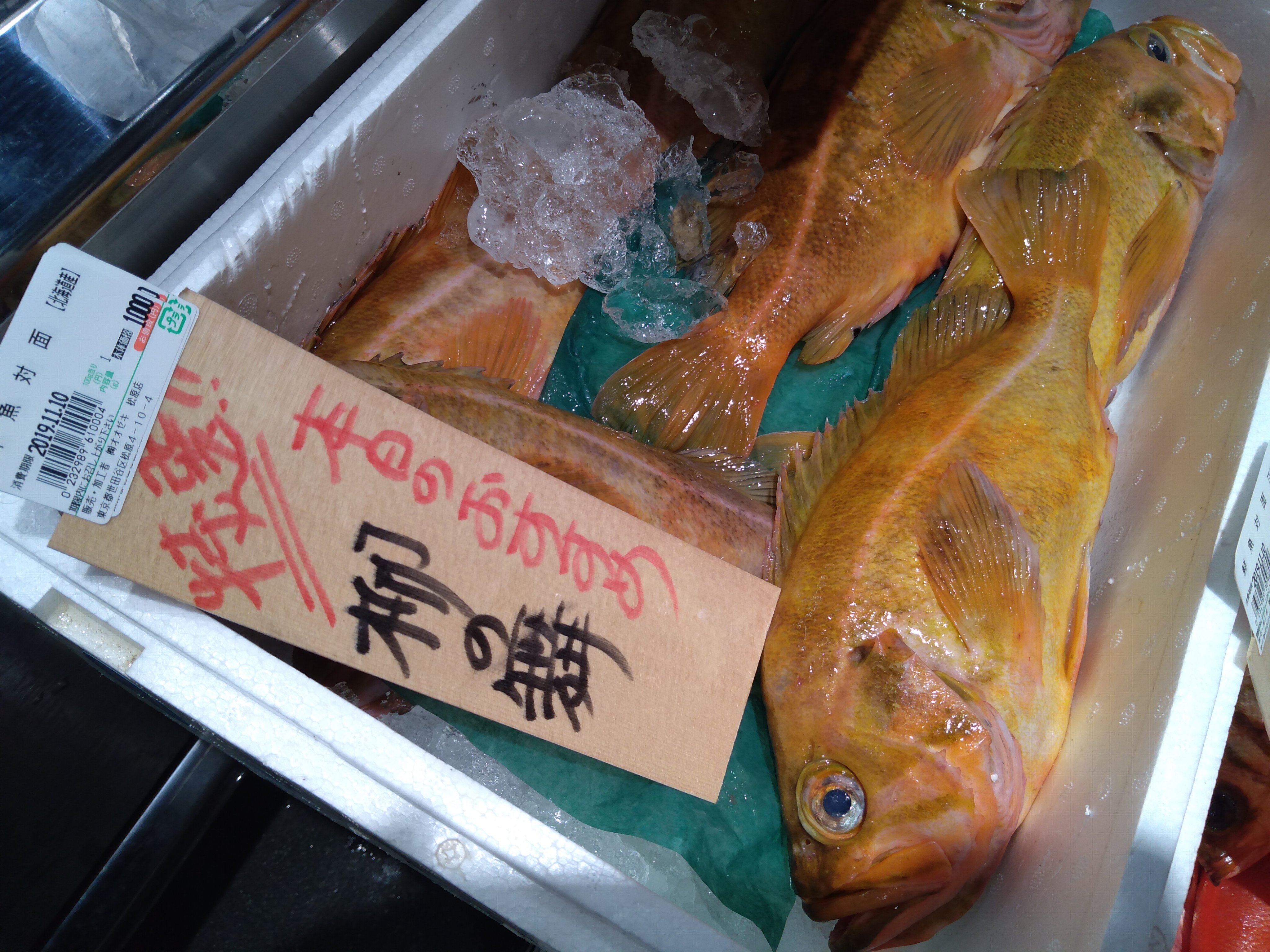 えむっち 初めてみたお魚 柳の舞がデカくて たぶん 安かったので連れ帰る お刺身と煮付けに お刺身が昆布みたいな味で美味しい 皮はあぶっても固くて食べられなかった 普通は東京で生食は難しい魚らしいので嬉しいな O O T Co Qjri9j3hiy