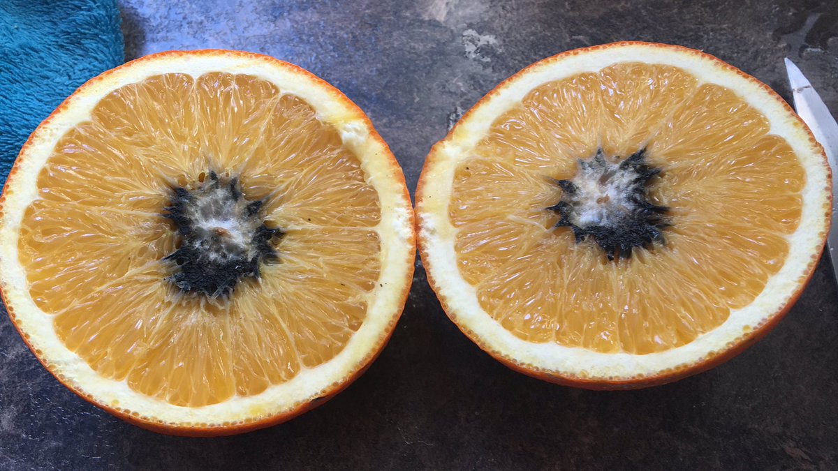 Y a esta qué le pasa?