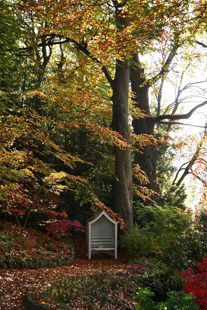 The Hidden Gardens of Bath tweet media