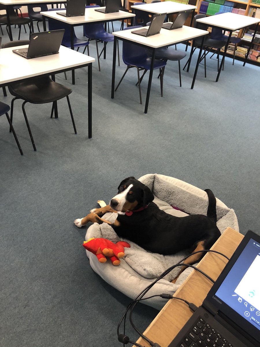 BCCSExtra's tweet image. Halo’s first Saturday School - she will be teaching us how to make flash cards using dual coding #acethattest  #BCCSSaturdaySchool #gsmd