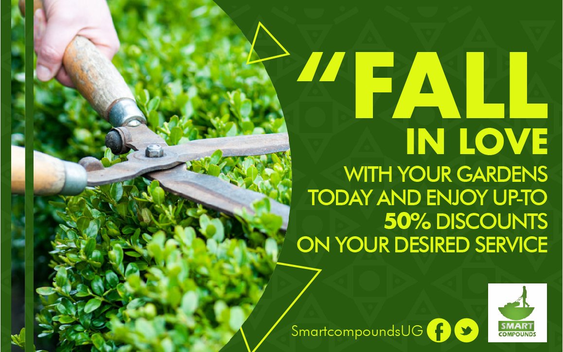 SmartCompounds's tweet image. 