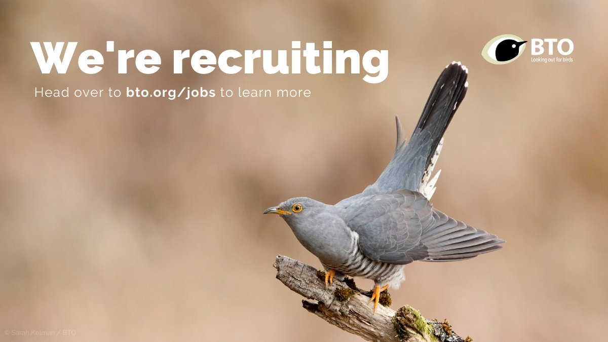 We're looking for a talented analyst to work on a three-year project working on the migration of European-African migratory birds. Interested? Apply before November 15th at bto.org/jobs!