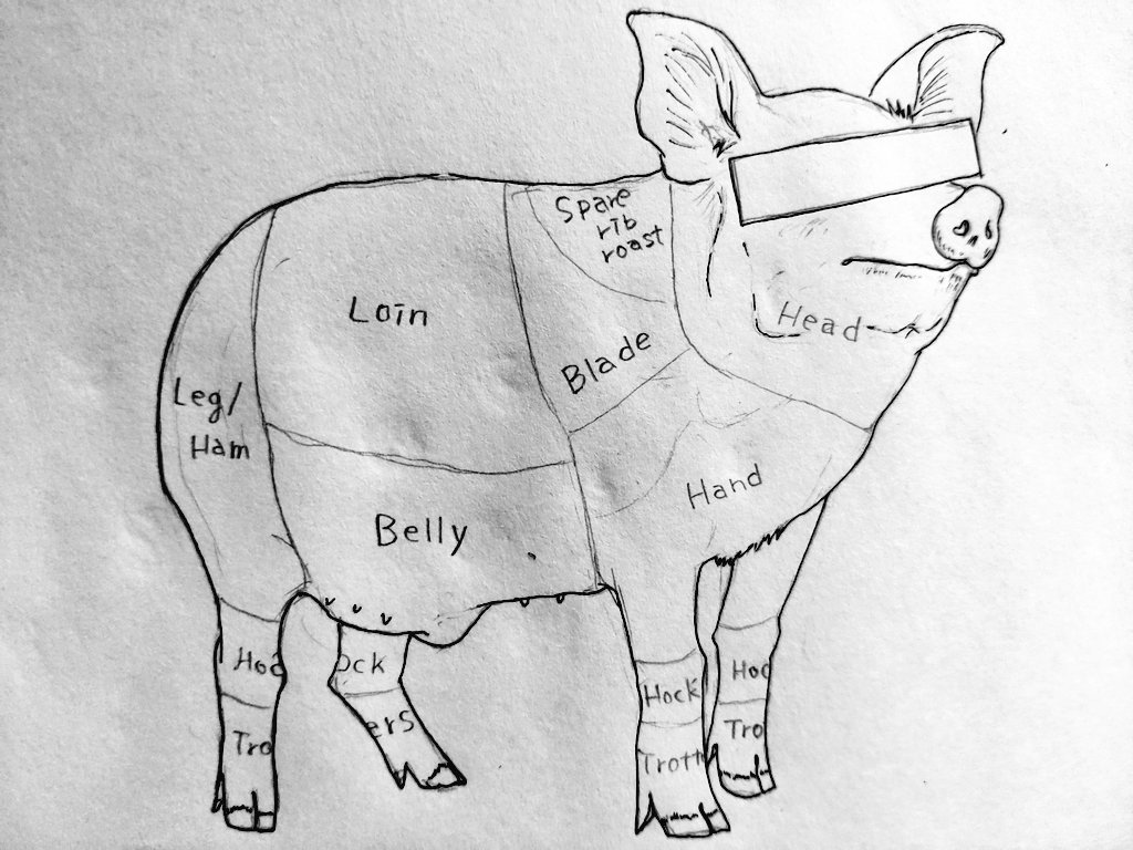 Esophagus En Twitter 豚ちゃん 下書き カラフルにしちゃろう 豚 の 部位 書き込み ペン画 イラスト好きな人と繋がりたい