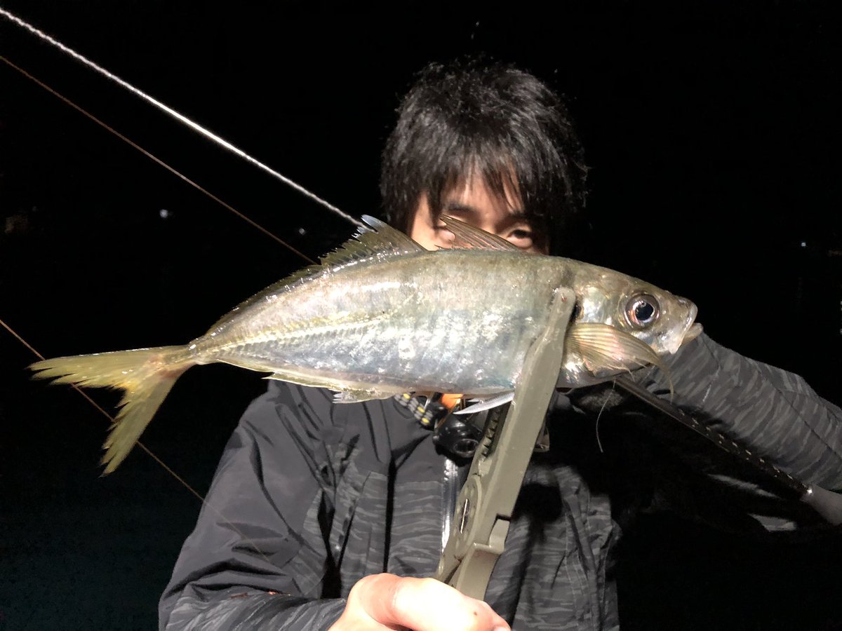 ナガタ シュンスケ 昨晩は夜な夜な きなさんとアジング なかなか渋く カナトフグ以外は 連発しなかったが良いサイズも釣れて楽しめましたー 気付いたら33時間起きとった アジング アジ アジフライ Issei 海太郎 スパテラ2 ナガタ シュンスケ 昨晩は夜な夜な きなさんとアジング なかなか渋く カナトフグ以外は 連発しなかったが良いサイズも釣れて楽しめましたー 気付いたら33時間起きとった アジング アジ アジフライ Issei 海太郎 スパテラ2