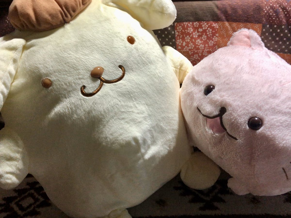 ぬいぐるみ男子