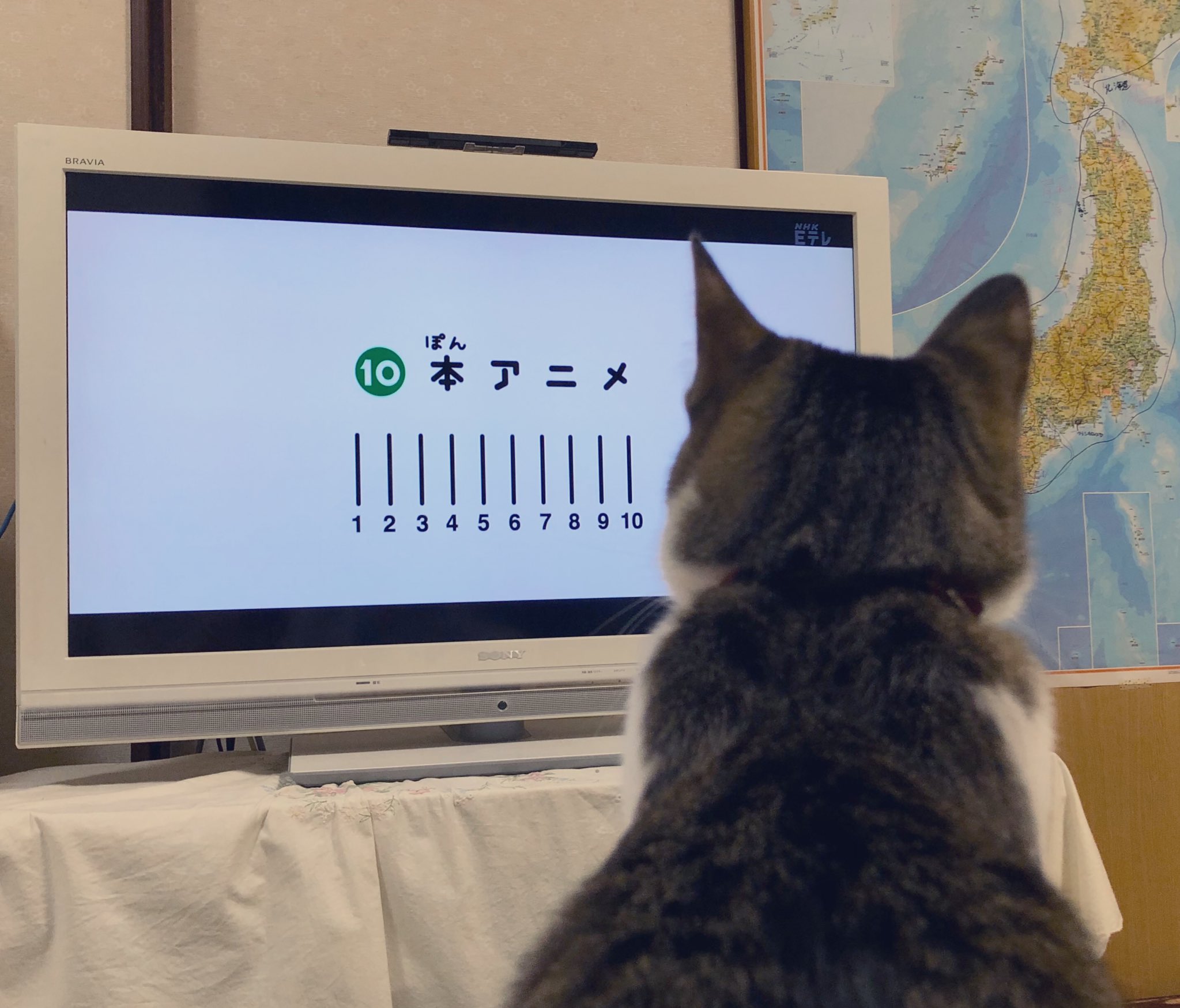 ブロッケン 視聴 10本アニメ T Co Zoad04p3xc Twitter