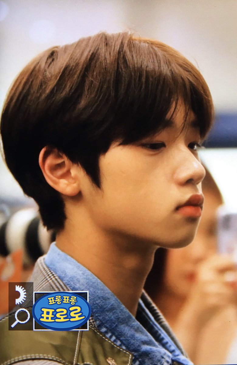 표로로 𝙿𝚈𝙾𝚁𝙾𝚁𝙾 tweet media