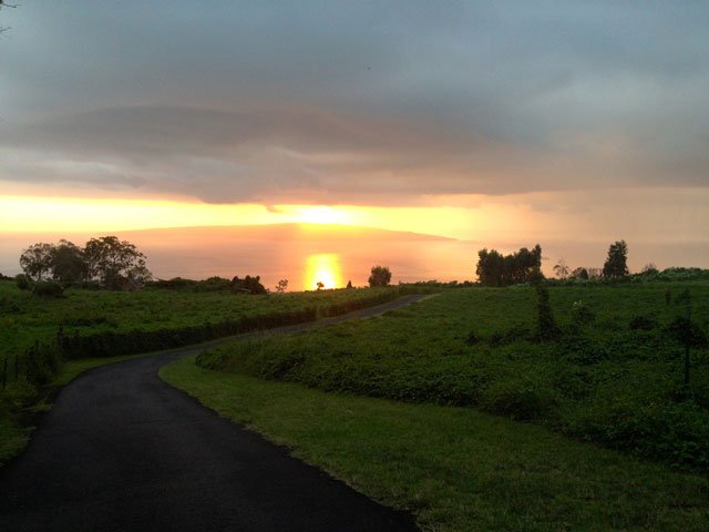 muz4now photo