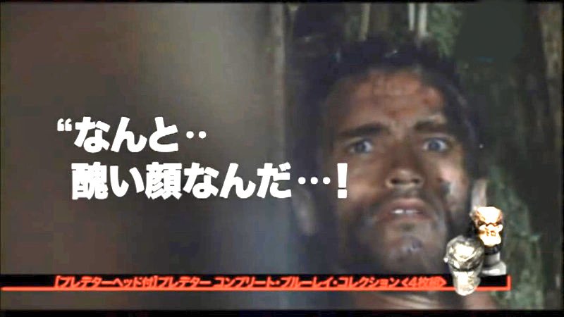 なんと醜い顔なんだ