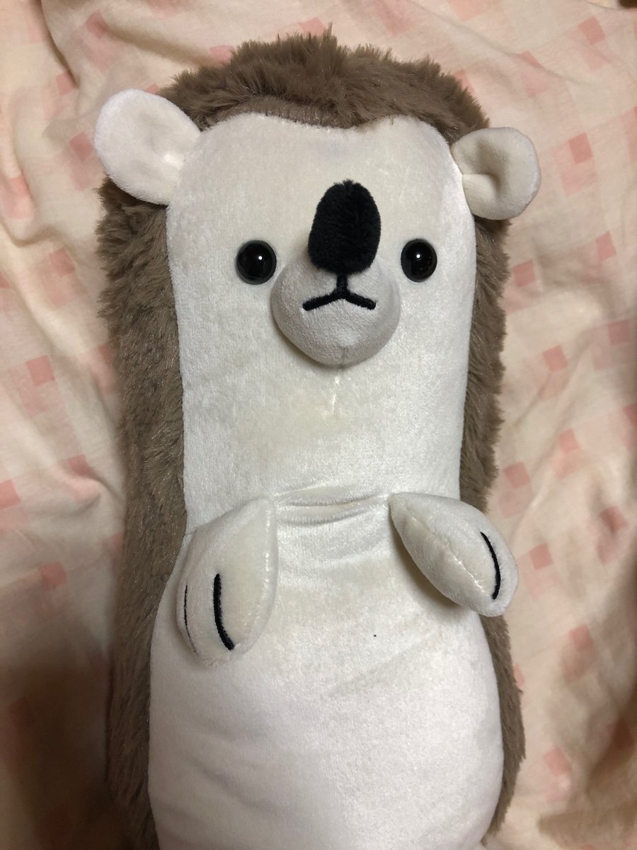 今日はニトリにNウォームの敷きパッドを買いに行ったら、売り切れてたN