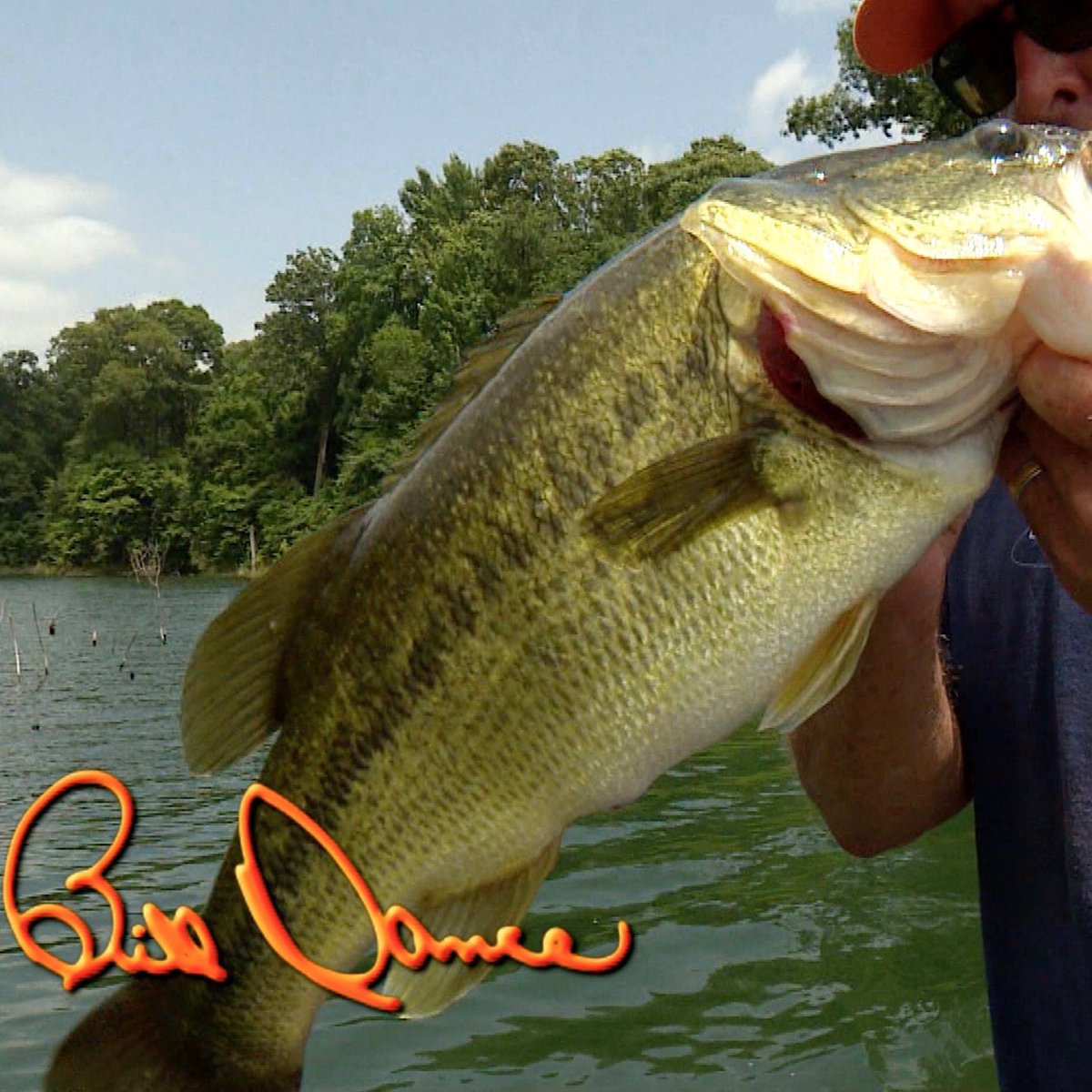 We're back topside this week with @RebelLures Pop-R for explosive bass action. It’s one of my all time fav ways to fish! Air times: Sat. at 1:00pm and Sun at 6:00am. All times eastern on <a href="/OUTDChannel/">Outdoor Channel</a>. See you then, Bill #fishing #SaturdayMotivation