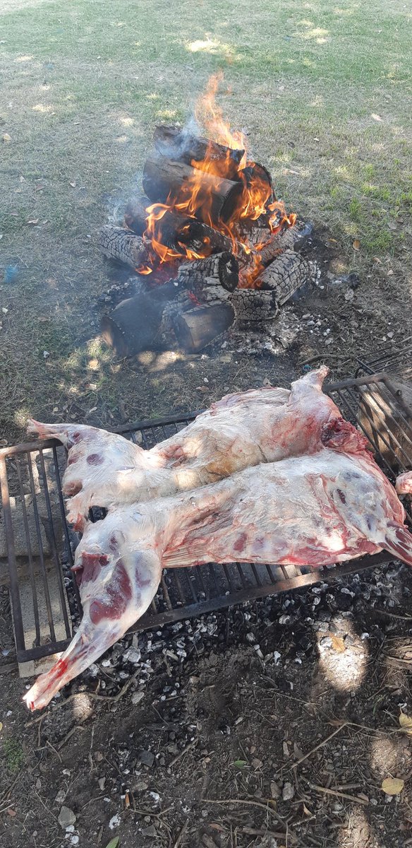 ElOjoChurrinche's tweet photo. Felicitaciones a @ApollonioEstela y a #MilagrosHerrera de @610Rural y @Agroventas_uy @RuralesElPaisUy por la transmisión desde la Fiesta del @corderopesado en Sarandí del Yi 
Muy buena jornada #AbrazoPais https://t.co/JU2Utn7aXG