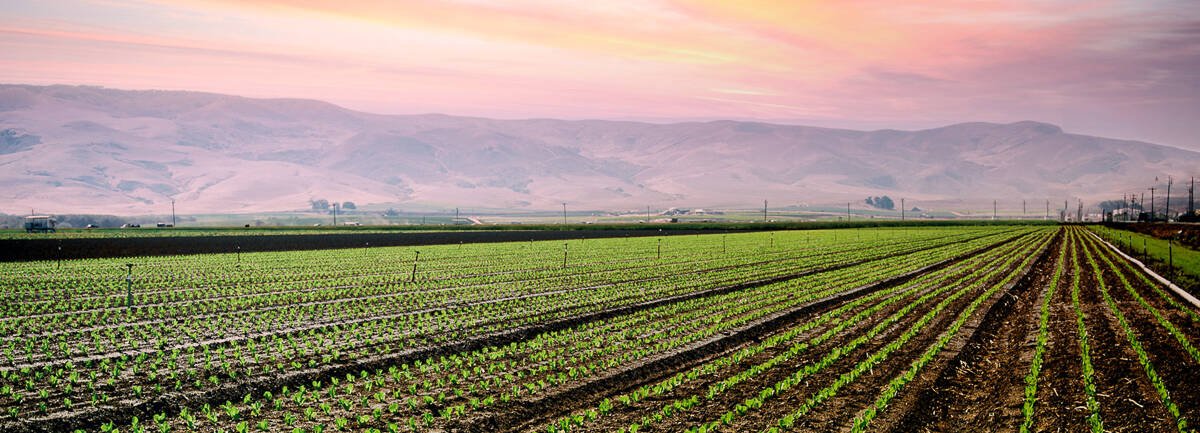 ucanr's tweet photo. California’s early #economy was founded upon its #workinglandscape, which continues to impact every part of the state. The working landscape accounts for 6.4% of CA’s economy: >1.5 million jobs, $85 billion in earnings, $333 billion in sales. https://t.co/AN9AzMaQ7G https://t.co/6KcKO2qIay