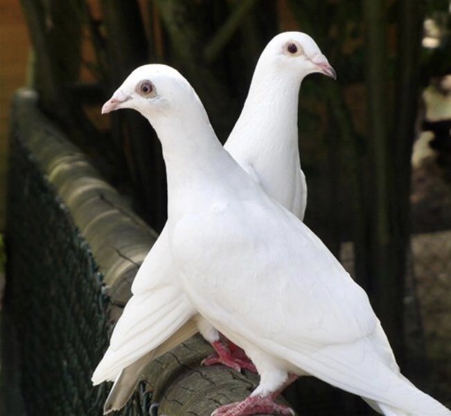 سلام على ارواح اشتقنا اليها و لم تفارقنا
سلام على أطيب قلوب فارقتنا و لم تفارقنا ضحكاتهم
سلام يا من كنتم معى منذ عام نحتفل
سلام الى ان نلتقى 
Sonya Makady &amp; Wessam Makady