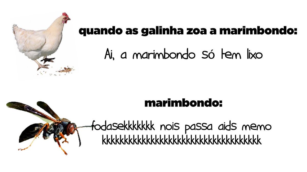 PandaOtakyn's tweet photo. Cole meu amigo do peito KKKKKKKKKKKKK @Muta64776002 @SrLuffy1 https://t.co/83bXq7GlIj