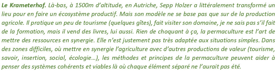 Attention : le fait d’avoir plusieurs sources de revenu dans un système en permaculture n’est pas un problème : personne ou presque ne semble le savoir, mais la permaculture, c’est l’art de mettre des éléments en synergie dans un système. Mais est-ce généralisable, scalable ?