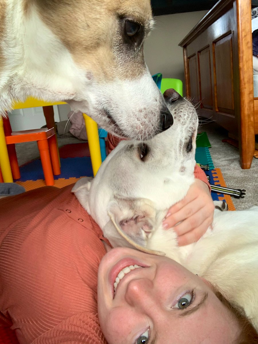 Alia_Callahan9's tweet photo. I’m away for one night and these three act like I was gone forever!! I’m so lucky https://t.co/z50ytdkGPQ