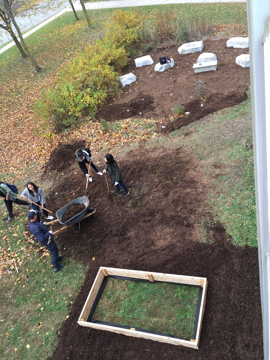 eci_IMPACT's tweet image. The new gardens are starting to take shape! Group effort with science/geography/woodworking classes and IMPACT all chipping in to get them ready before the snow flies. @ECI_Events @wrdsb