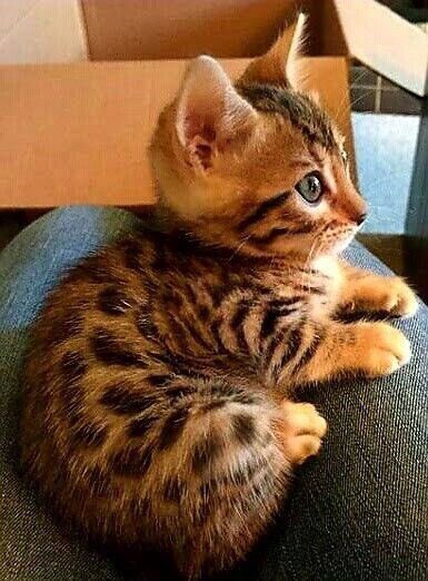 <a href="/LiliBodo/">🌸.•° Lily #TMLILY °•.🌸#MEL_LILY</a> <a href="/SiscoMGWV/">🔶️Sisco #1DDrive 110k🔶️</a> <a href="/jet_new/">ⓙⓝ ʝɛt_ռɛա</a> @ivanozigor <a href="/sasha_stana/">𝕷𝖊𝖓𝖆 🦋🌹🇩🇪𝕾𝖊𝖗𝖎𝖊𝖘 𝕱𝖆𝖓𝖘</a> <a href="/Mayorga1_/">chirina</a> <a href="/mamiRD_/">🇩🇴mamiRD_ #LoveDeMami❤ AmigosDe❤</a> <a href="/Lily_Tmlily/">°˚♡❀ Lily ❀♡˚°</a> @Carla56725378 @ELRUBIO_RD <a href="/oce2005/">Oce2005</a> <a href="/V2_N_St0/">Vanessa ™#MGWV</a> <a href="/AlexMont97/">🐦Alex🌤Angel🍂Montelongo🐦#TSha🍃</a> <a href="/Fer_M66/">@🇫Ξ​​®️_〽️66</a> <a href="/VINAY99996/">Main account @vinaymishra1961</a> <a href="/ginestarros/">SuperGina♥️💚♥️</a> <a href="/insaurraldeh/">⭐POLI⭐ #MGWV⭐</a> <a href="/YukariKingdom18/">💯🐉める✧⃝𝓜𝓮𝓵┄✩ͯ•͙͙✧⃝🌙•͙͙✩ͯ┄•͙✧⃝🌙┄✩ͯ•͙͙✧⃝🌙</a> <a href="/SergioA60798547/">Sergio</a> 🔷#Lily
<a href="/LiliBodo/">🌸.•° Lily #TMLILY °•.🌸#MEL_LILY</a>💥🔥
#TMLILY
Happy Saturday Friends
<a href="/Lily_Tmlily/">°˚♡❀ Lily ❀♡˚°</a>
<a href="/mamiRD_/">🇩🇴mamiRD_ #LoveDeMami❤ AmigosDe❤</a>
@Carla56725378
@ELRUBIO_RD
<a href="/oce2005/">Oce2005</a>
<a href="/jet_new/">ⓙⓝ ʝɛt_ռɛա</a>
<a href="/V2_N_St0/">Vanessa ™#MGWV</a>
<a href="/AlexMont97/">🐦Alex🌤Angel🍂Montelongo🐦#TSha🍃</a>
<a href="/Fer_M66/">@🇫Ξ​​®️_〽️66</a>
@ivanozigor
<a href="/VINAY99996/">Main account @vinaymishra1961</a>
<a href="/Mayorga1_/">chirina</a>
<a href="/ginestarros/">SuperGina♥️💚♥️</a>
<a href="/sasha_stana/">𝕷𝖊𝖓𝖆 🦋🌹🇩🇪𝕾𝖊𝖗𝖎𝖊𝖘 𝕱𝖆𝖓𝖘</a>
<a href="/insaurraldeh/">⭐POLI⭐ #MGWV⭐</a>
<a href="/DrNikolova_Rumi/">Rumiana Nikolova ®️💗</a>
<a href="/YukariKingdom18/">💯🐉める✧⃝𝓜𝓮𝓵┄✩ͯ•͙͙✧⃝🌙•͙͙✩ͯ┄•͙✧⃝🌙┄✩ͯ•͙͙✧⃝🌙</a>
<a href="/SergioA60798547/">Sergio</a>