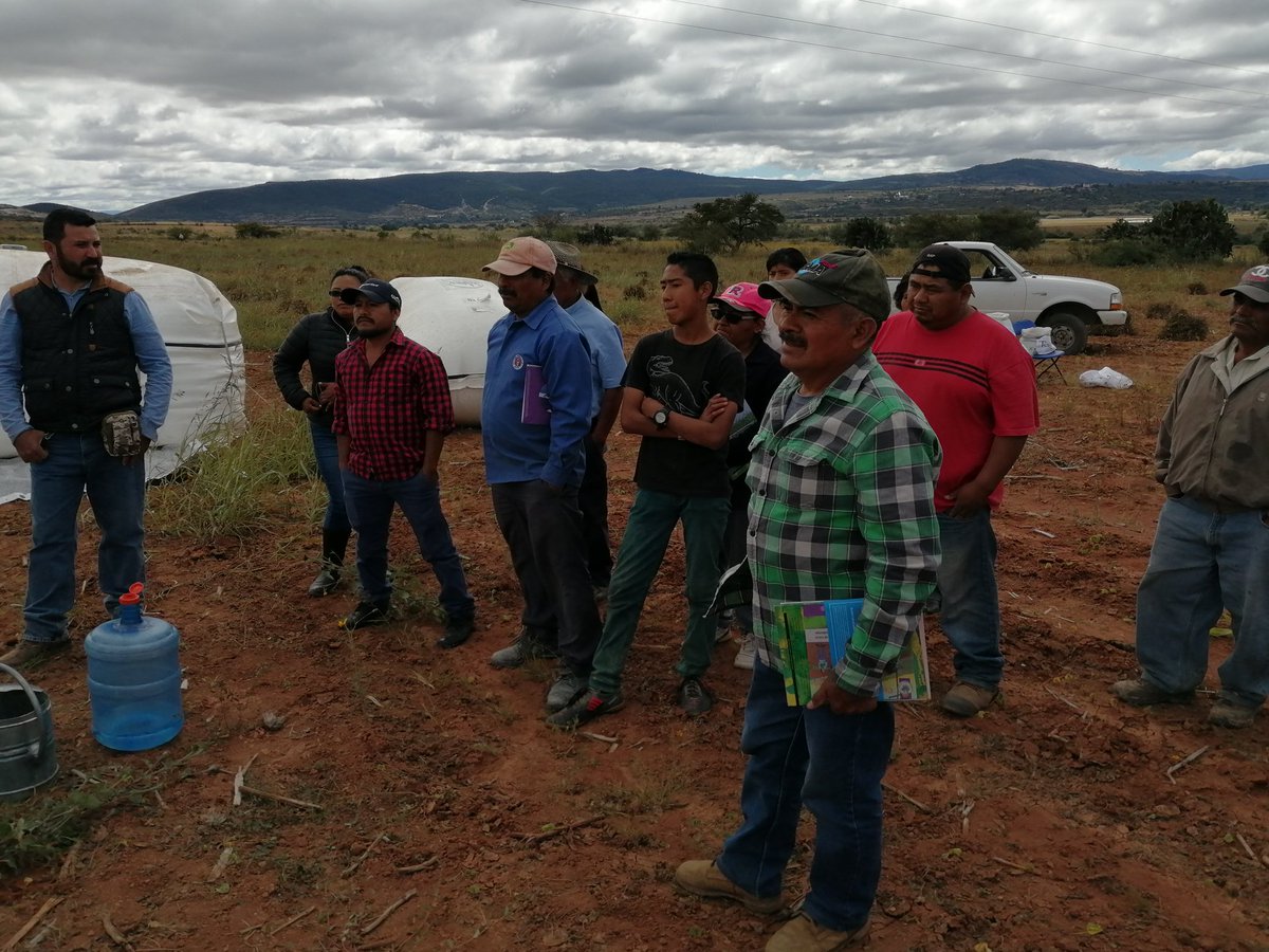 HubPSurCimmyt's tweet image. Hablando de la producción de frijol con sistema de agricultura de conservación con productores del Valle de Nochixtlan #Oaxaca acciones del #HubPSur  @ACCIMMYT @Sedapa_GobOax @Agricultura_mex @CIMMYT