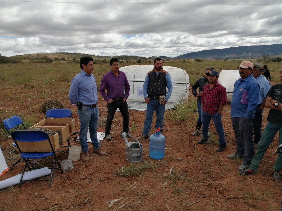 HubPSurCimmyt's tweet image. Hablando de la producción de frijol con sistema de agricultura de conservación con productores del Valle de Nochixtlan #Oaxaca acciones del #HubPSur  @ACCIMMYT @Sedapa_GobOax @Agricultura_mex @CIMMYT