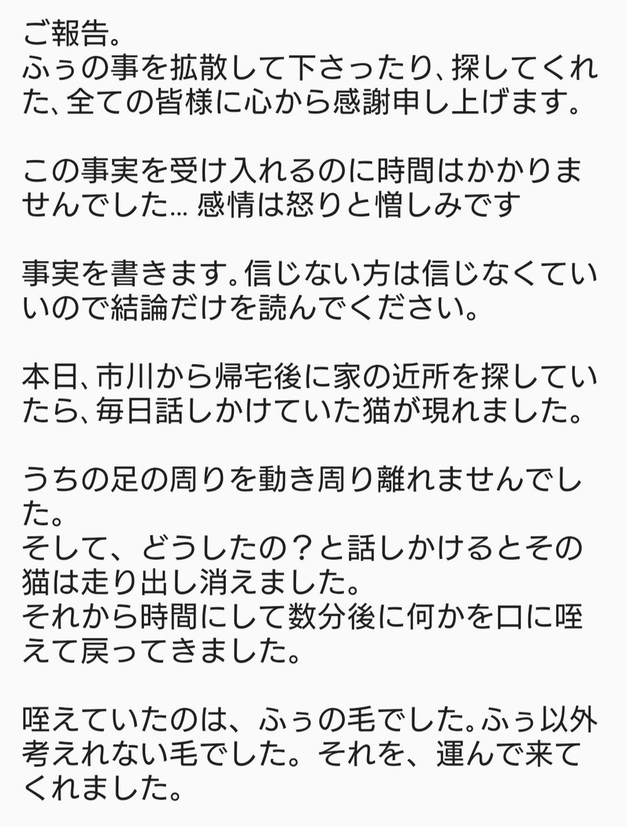 kodokunoima's tweet photo. 事実のみを書きました｡心より感謝とお詫び申し上げます｡
どうか､ふぅという猫がいたことを忘れないで下さい。
#報告 https://t.co/mPxvWskyB1