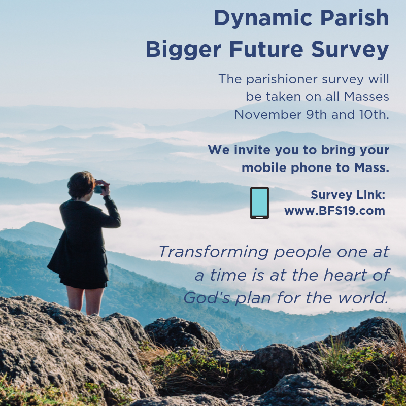 OLQAChurch's tweet photo. It has been a year since we have started our #DynamicParish program. We began with a survey to gauge our parish, now we have the results. So we will take another survey this weekend gauge the change, so don’t forget your mobile phone or take a paper one in mass https://t.co/ph7T3ykAyz