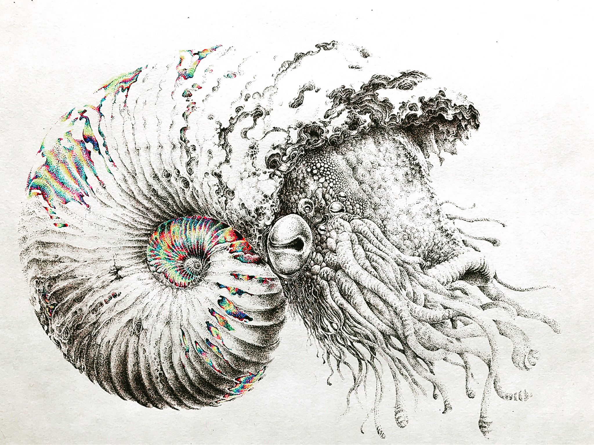 ペン画　ボールペン画　\