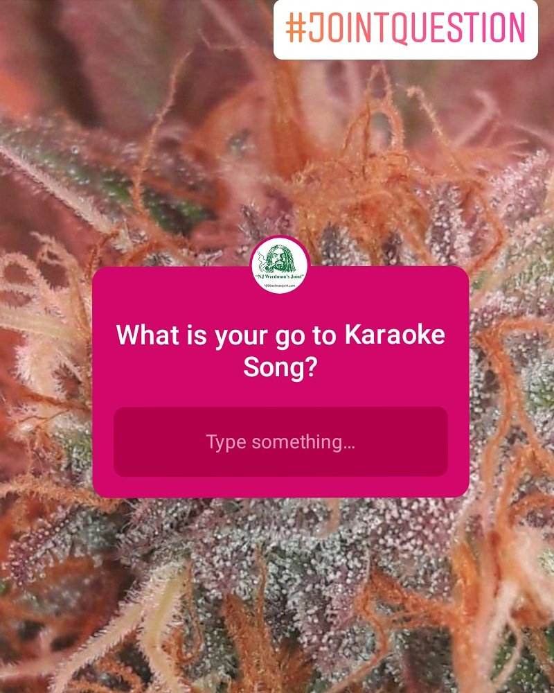 NJWeedmansJoint's tweet photo. What is your go to Karaoke Song?

If you or anyone you know would like to have their pics featured for our daily #jointquestion let us know!
#karaoke #cannabis #questionoftheday #highthoughts #hightimes #highvibes #stonerquestions #stonerthoughts #stonersdaily #njweedmansjoint https://t.co/GEjo73h2H1
